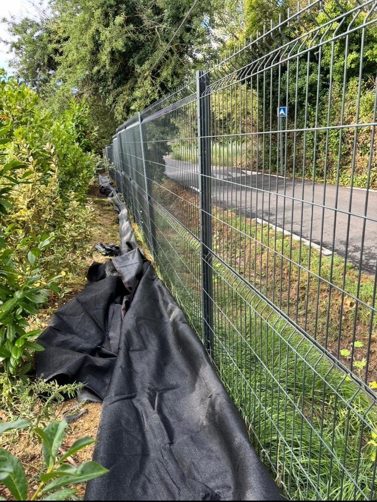 Haies sauvages avant la taille